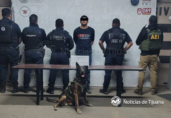 Libera agente canino a mujer que era rehén de su hijo en Mexicali