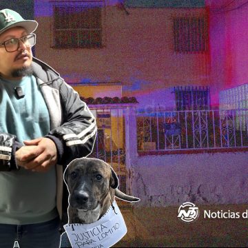 Caso perrita de Otay: chofer de la panel también queda bajo la lupa; su participación es punible