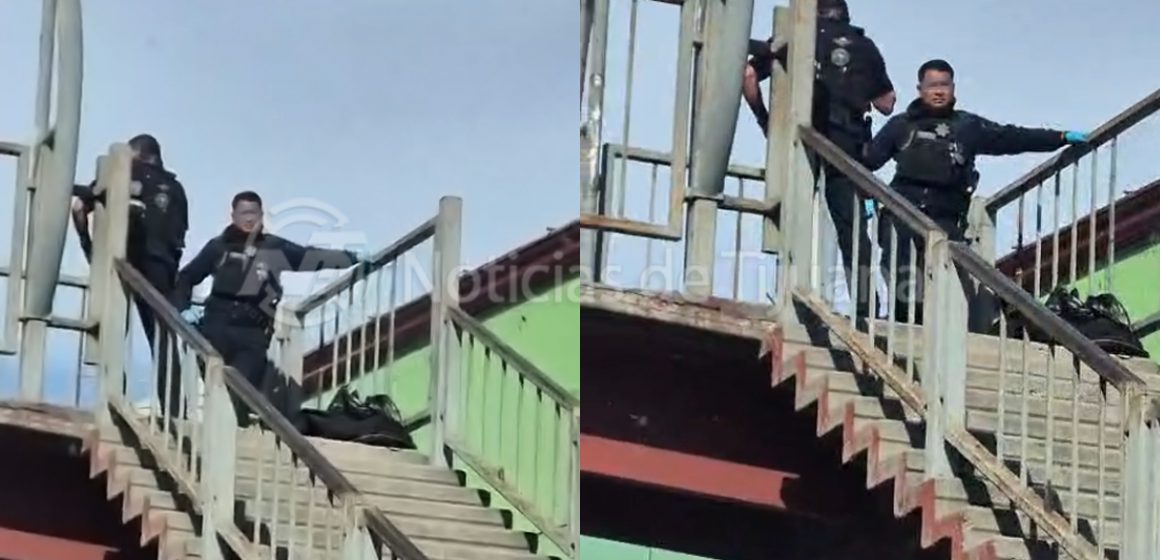 Localizan objetos sospechosos con animales sin vida en dos puntos de la ciudad