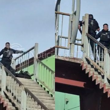 Localizan objetos sospechosos con animales sin vida en dos puntos de la ciudad