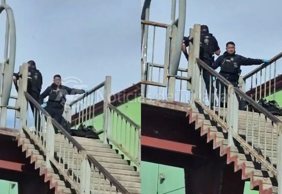 Localizan objetos sospechosos con animales sin vida en dos puntos de la ciudad