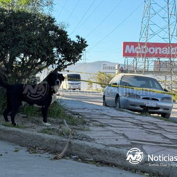 Localizan cuerpo sin vida en Plaza Oasis; estaba en la cajuela de un vehículo