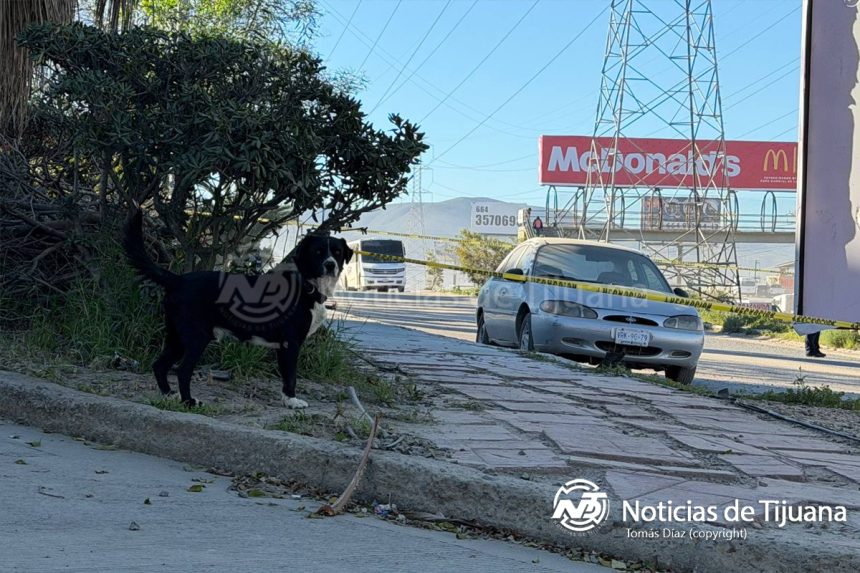 Localizan cuerpo sin vida en Plaza Oasis; estaba en la cajuela de un vehículo