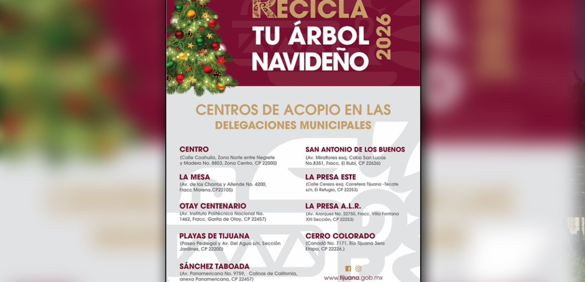 Llaman a aprovechar últimos días para reciclar árboles navideños