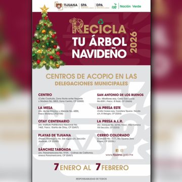 Llaman a aprovechar últimos días para reciclar árboles navideños