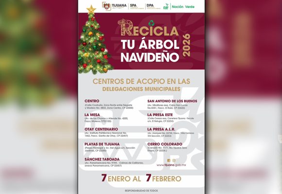 Llaman a aprovechar últimos días para reciclar árboles navideños