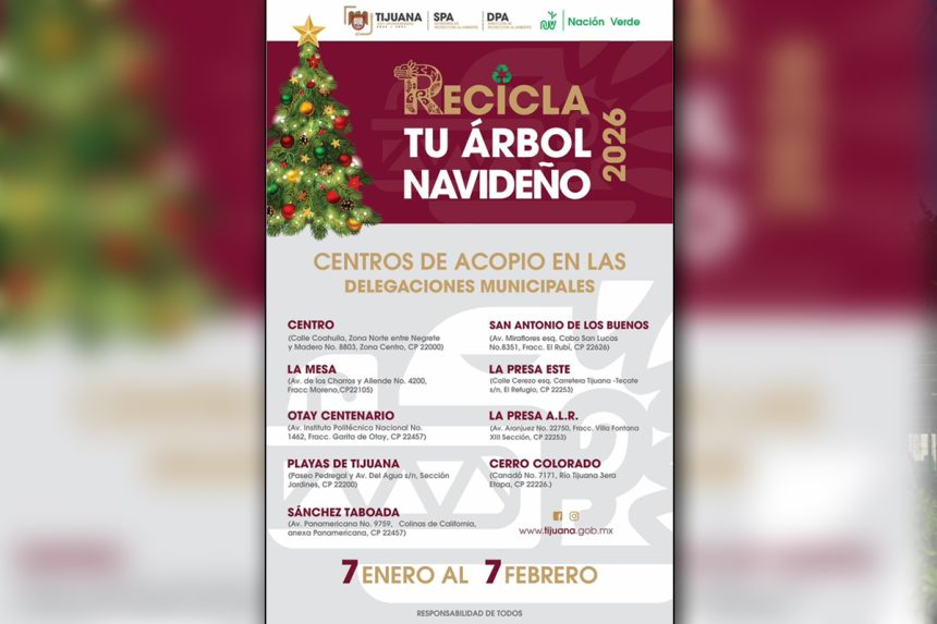 Llaman a aprovechar últimos días para reciclar árboles navideños