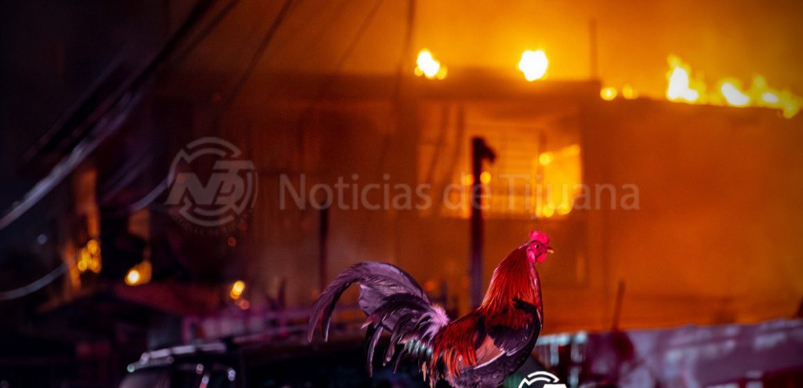 Fuerte incendio consume vivienda en la colonia Defensores de Baja California