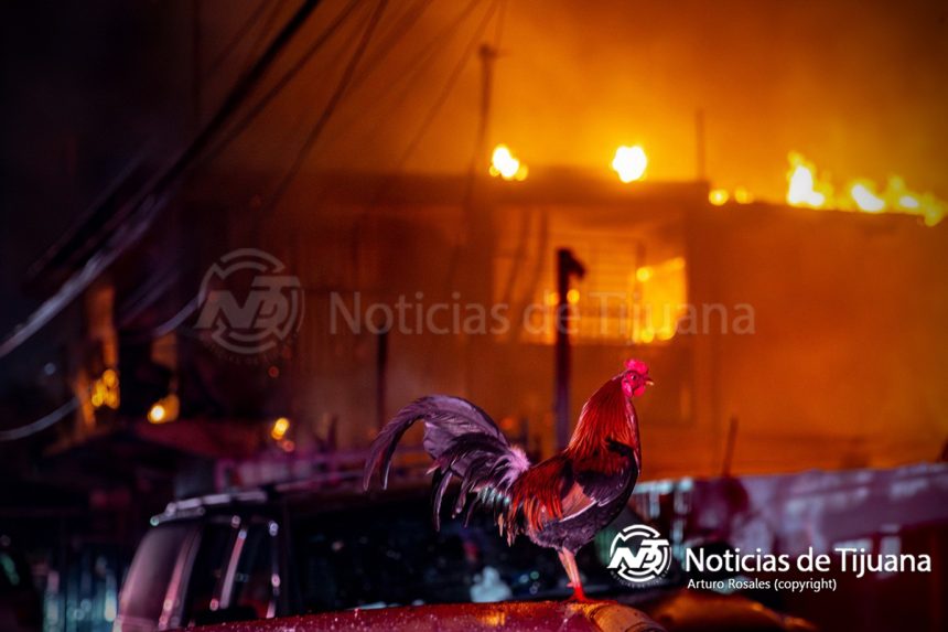 Fuerte incendio consume vivienda en la colonia Defensores de Baja California