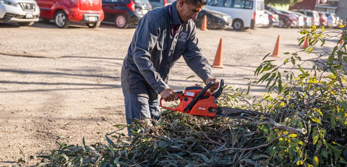 Mejoran entornos en Otay y Sánchez Taboada con jornada de limpieza