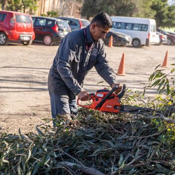 Mejoran entornos en Otay y Sánchez Taboada con jornada de limpieza