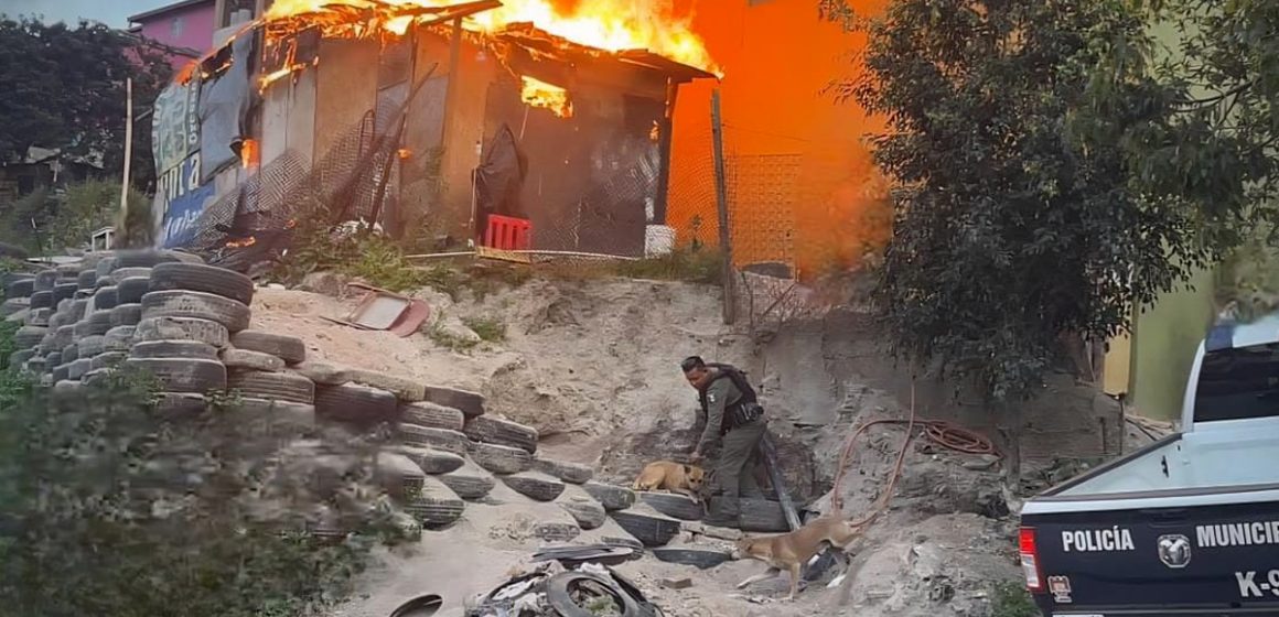 Rescatan a dos perros durante incendio en Camino Verde