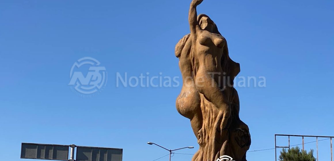 Localizan a hombre sin vida bajo una palma a un costado del bulevar 2000