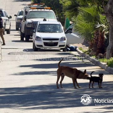 Ejecutan a balazos a hombre en La Remosa; le disparan en la cabeza