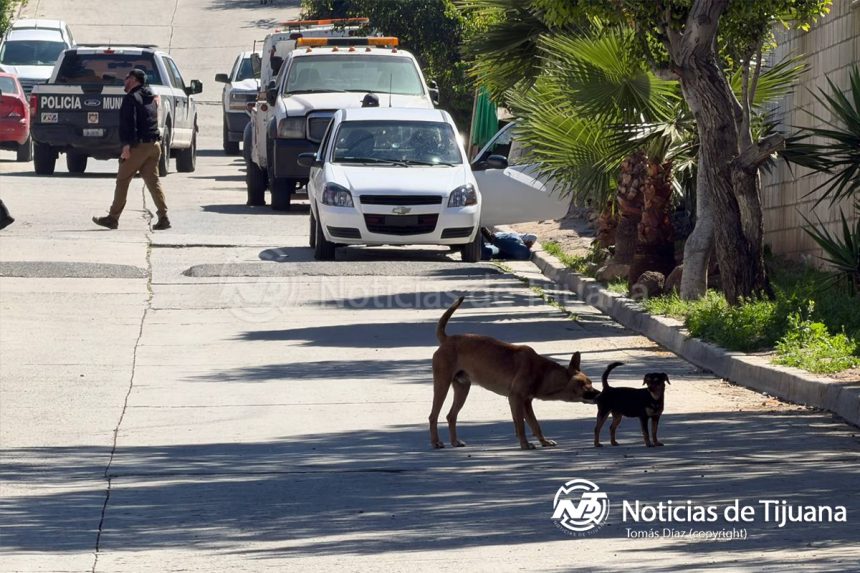 Ejecutan a balazos a hombre en La Remosa; le disparan en la cabeza