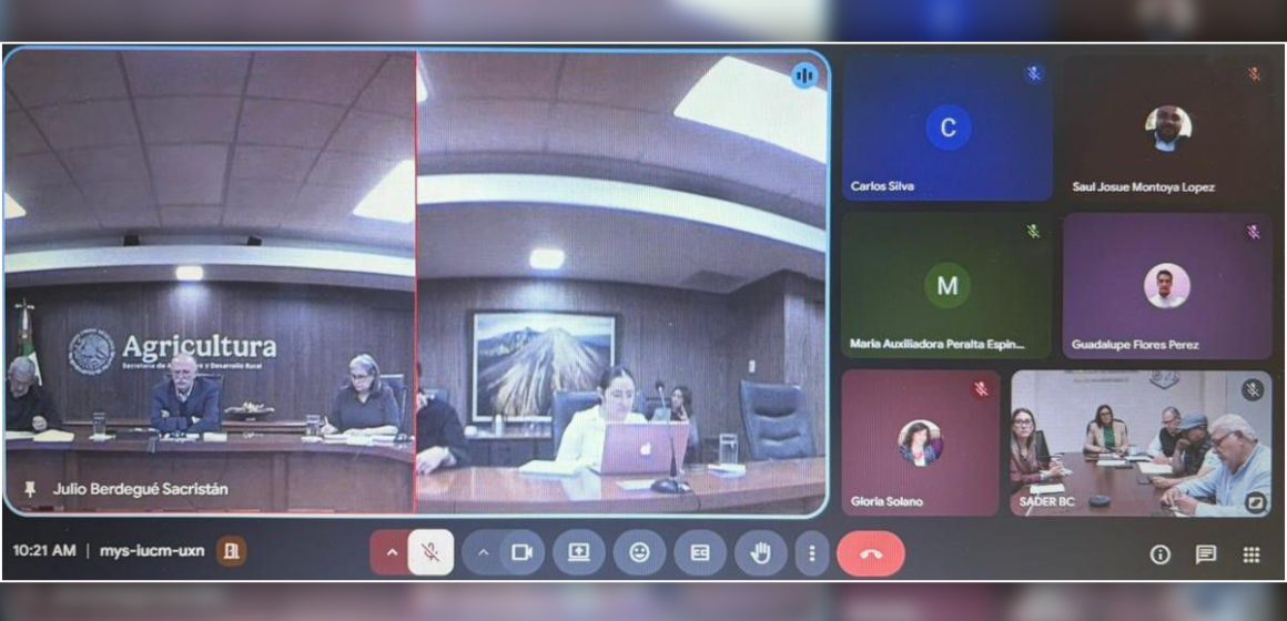 czcx Fortalecen coordinación con federación para impulsar el desarrollo del sector agrícola