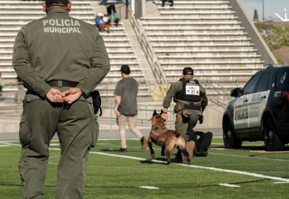 Destaca Unidad de Operaciones Caninas de Tijuana en competencia internacional en Estados Unidos