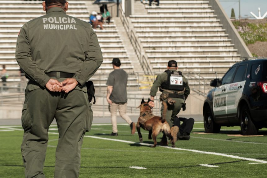 Destaca Unidad de Operaciones Caninas de Tijuana en competencia internacional en Estados Unidos
