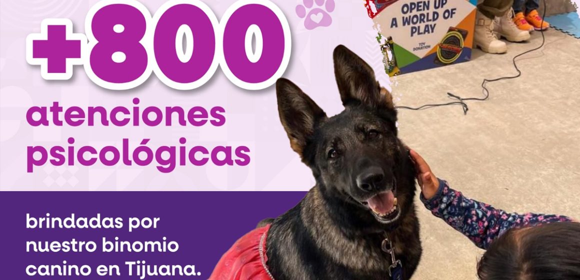 Más de 800 atenciones psicológicas con apoyo de binomio canino en CEJUM