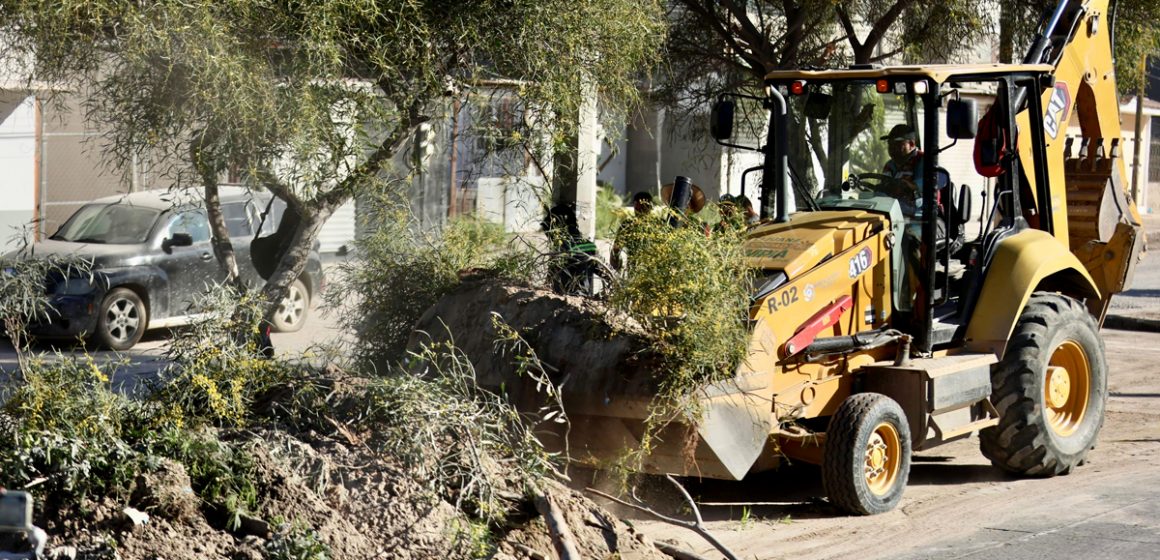 Recolectan más de 26 toneladas de basura
