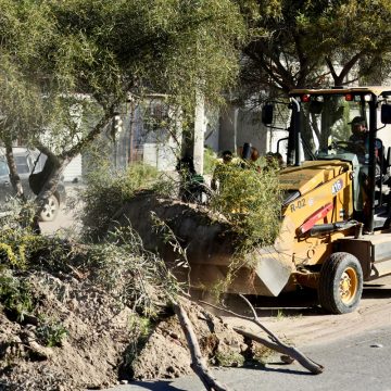 Recolectan más de 26 toneladas de basura