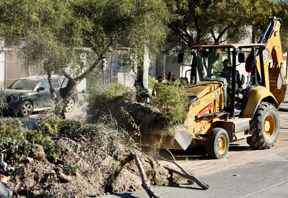 Recolectan más de 26 toneladas de basura