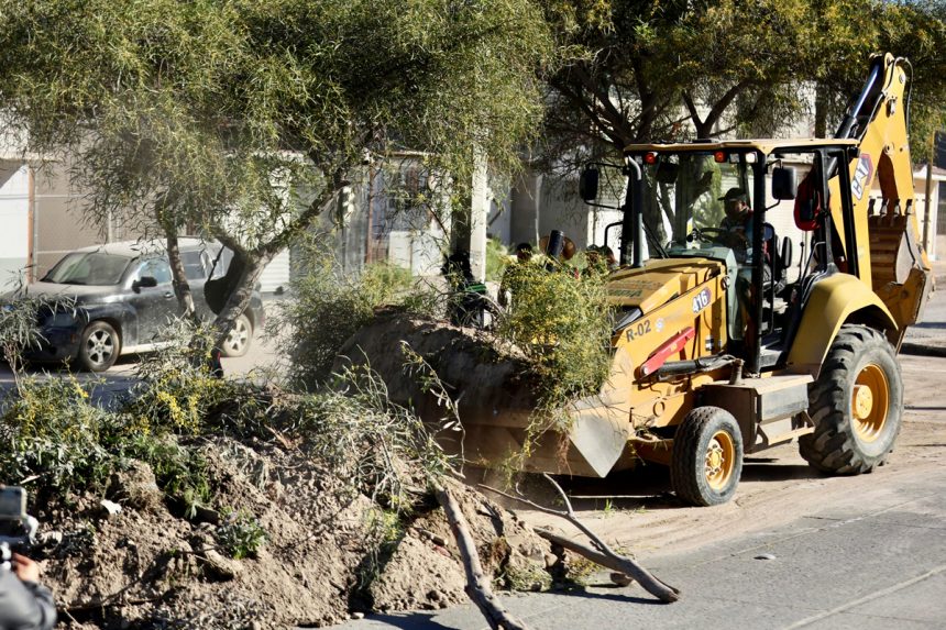 Recolectan más de 26 toneladas de basura