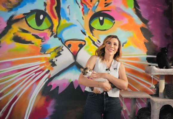 Por bienestar animal, celebran dos años del Santuario Mily