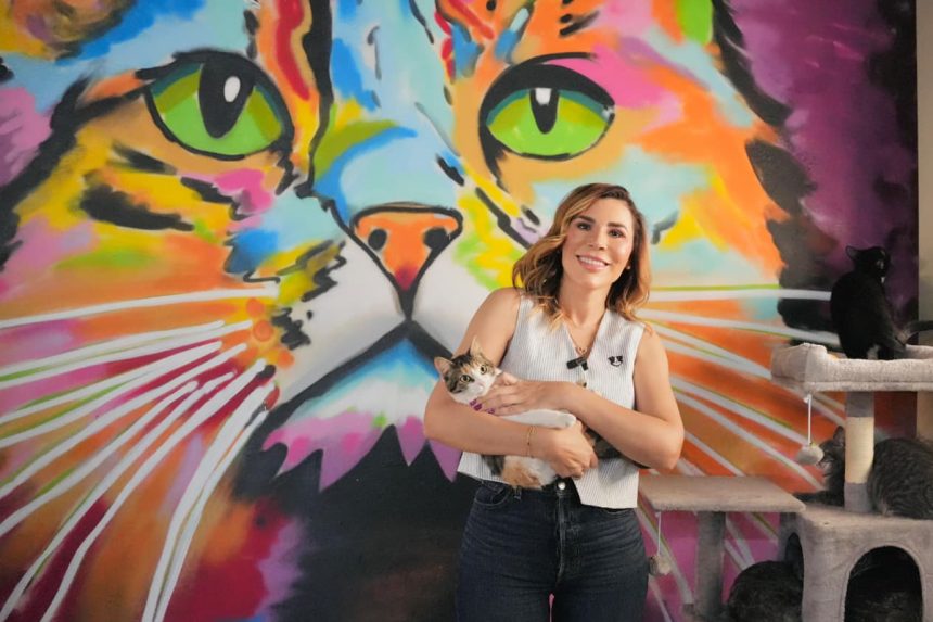 Por bienestar animal, celebran dos años del Santuario Mily