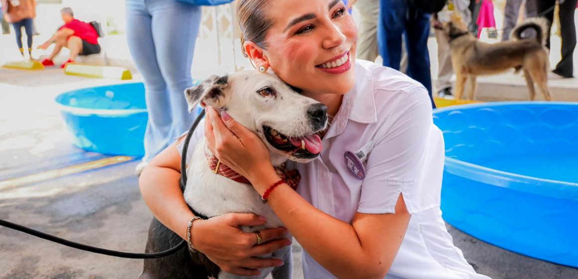 Acercan servicios gratuitos para mascotas