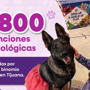 Más de 800 atenciones psicológicas con apoyo de binomio canino en CEJUM