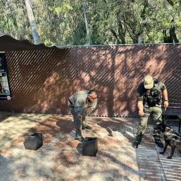 Brinda SSPCM de Tijuana capacitación a elementos de la Unidad Canina del municipio de Playas de Rosarito