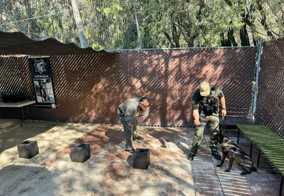 Brinda SSPCM de Tijuana capacitación a elementos de la Unidad Canina del municipio de Playas de Rosarito