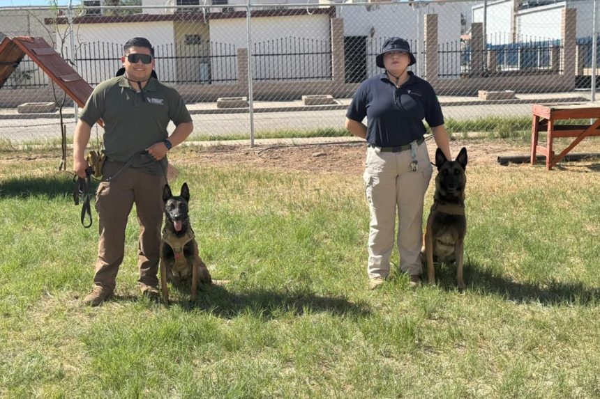 Capacitan a binomios caninos de la Comisión de Búsqueda