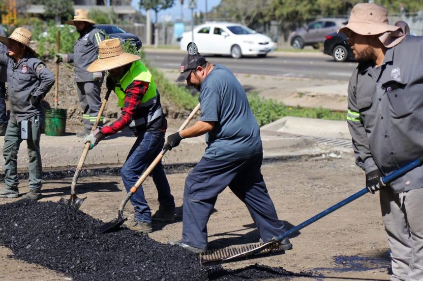 Avanza programa de bacheo en distintas delegaciones de Tijuana