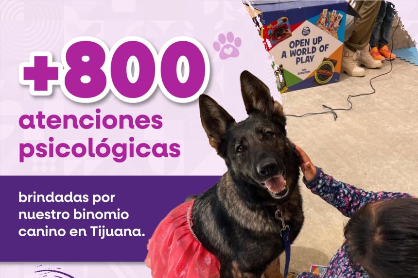 Más de 800 atenciones psicológicas con apoyo de binomio canino en CEJUM