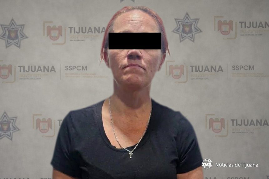 Intentó sobornar a policías con dólares falsos y terminó detenida