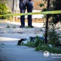 Asesinan a balazos a joven en Hacienda Las Fuentes; se acercan, conversan y le disparan