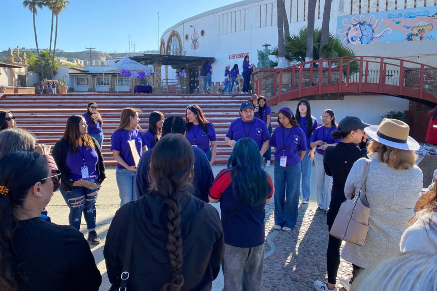 Inician taller con terapias asistidas con animales