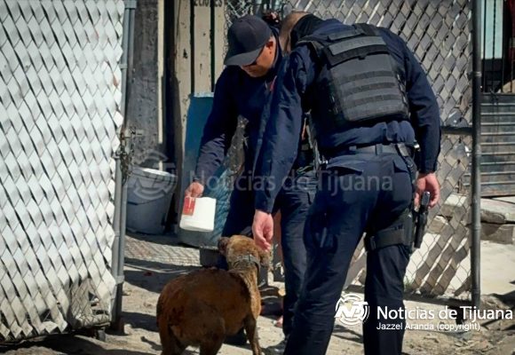 Incendio consume dos viviendas en Terrazas; un perro resulta con quemaduras