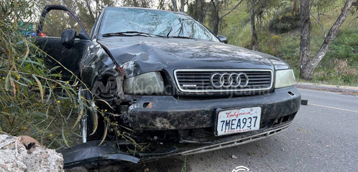 Conductor derriba dos árboles, choca contra un cerco y se da a la fuga