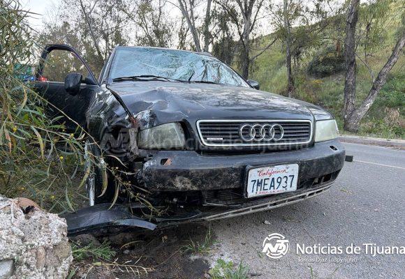 Conductor derriba dos árboles, choca contra un cerco y se da a la fuga