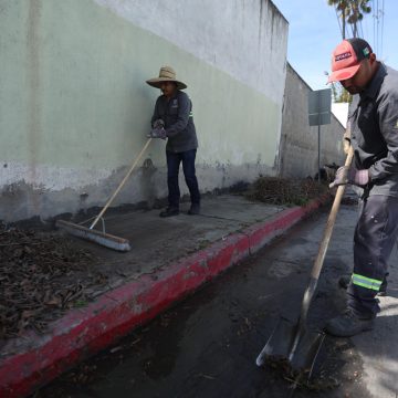 Tijuana refuerza limpieza y servicios en colonias