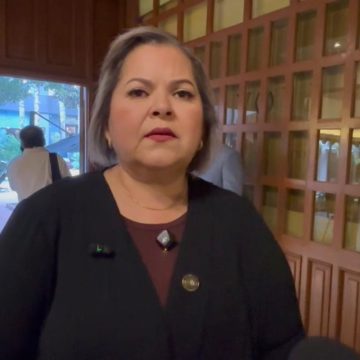 Enfoque en austeridad, base para aprobar “Plan B” de Reforma Electoral