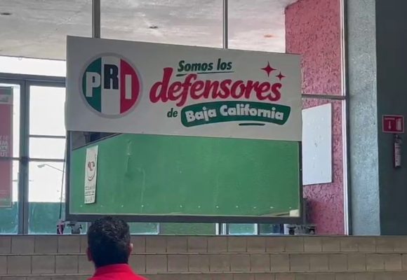 Priistas que hicieron daño hoy están en Morena: Daniela Salgado