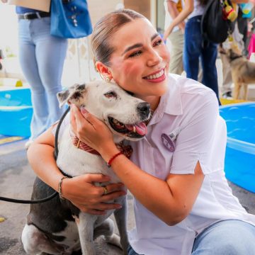 Esterilizan, vacunan y fumigan en El Cóndor: jornada masiva para perros y gatos en BC