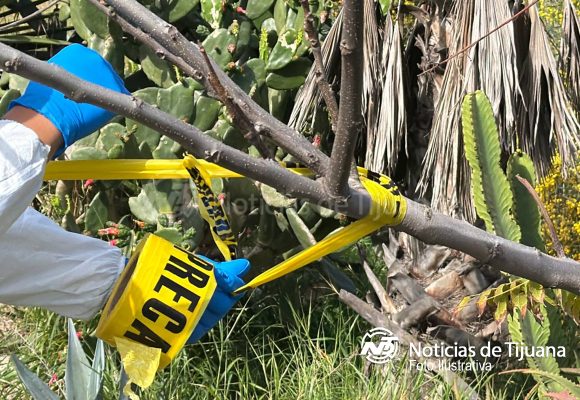 Encuentran sin vida a un hombre en el interior de una camioneta en la colonia Roberto de la Madrid