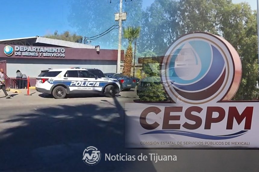 Dejan cabeza de cerdo con mensaje en CESPM Mexicali; es la segunda amenaza en semanas