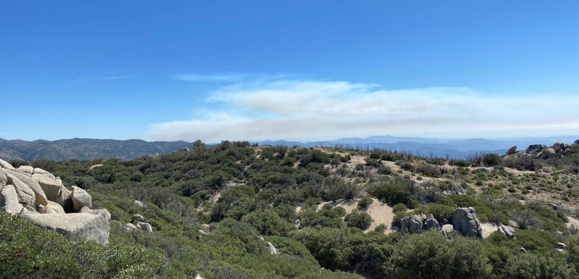 Queda totalmente apagado el incendio “Mesa El Barreal” tras días de combate en la sierra