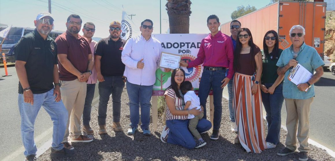 CTM adopta camellón en Tecate y se suma al mejoramiento urbano